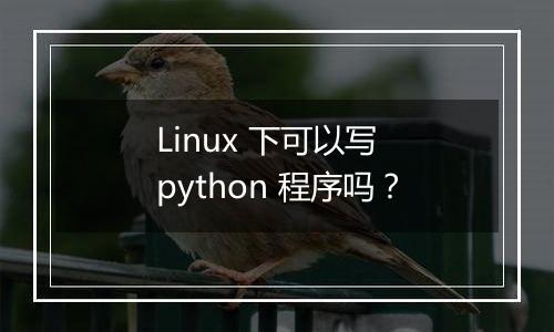 Linux 下可以写 python 程序吗?