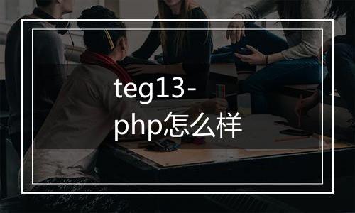 teg13-php怎么样