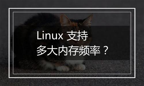 Linux 支持多大内存频率？