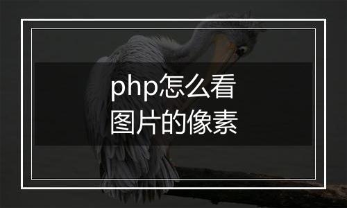 php怎么看图片的像素