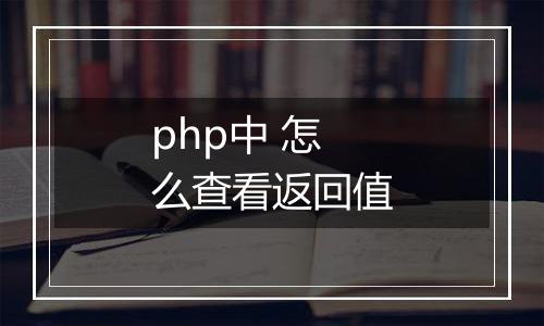 php中 怎么查看返回值