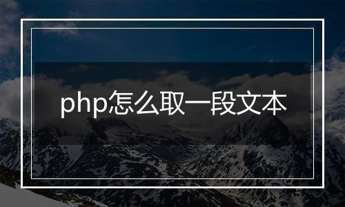 php怎么取一段文本