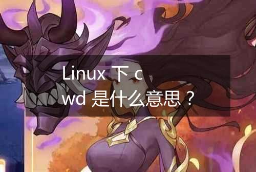 Linux 下 cwd 是什么意思?