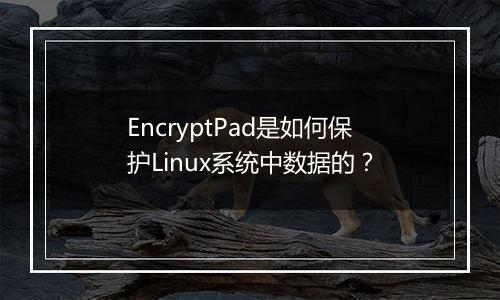 EncryptPad是如何保护Linux系统中数据的？