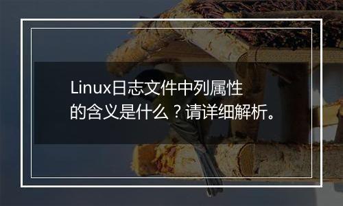 Linux日志文件中列属性的含义是什么?请详细解析。