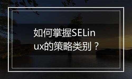 如何掌握SELinux的策略类别？