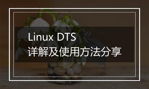 Linux DTS详解及使用方法分享