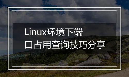 Linux环境下端口占用查询技巧分享