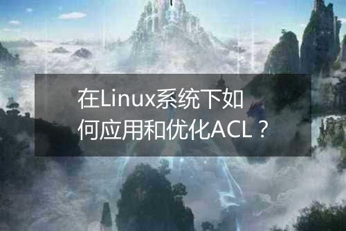 在Linux系统下如何应用和优化ACL?
