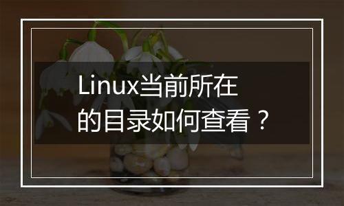 Linux当前所在的目录如何查看?