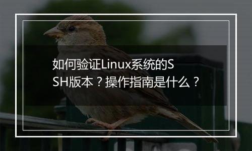 如何验证Linux系统的SSH版本?操作指南是什么?