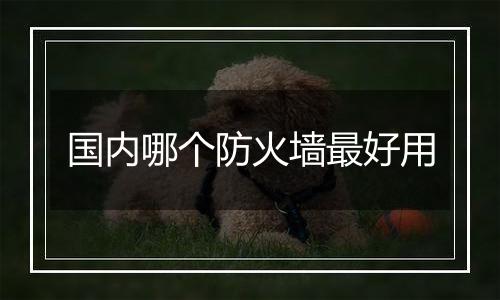国内哪个防火墙最好用