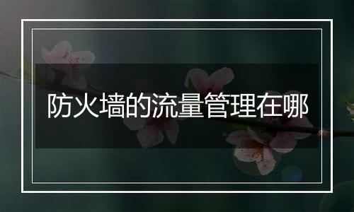 防火墙的流量管理在哪