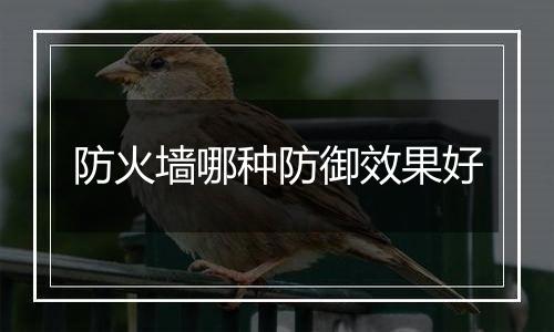 防火墙哪种防御效果好