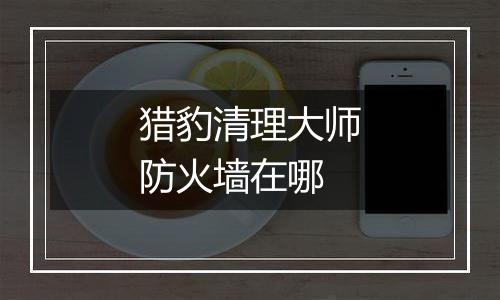 猎豹清理大师防火墙在哪