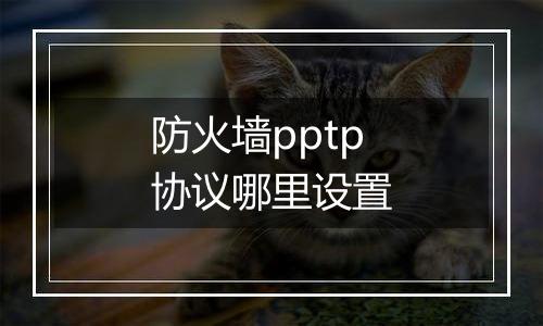 防火墙pptp协议哪里设置