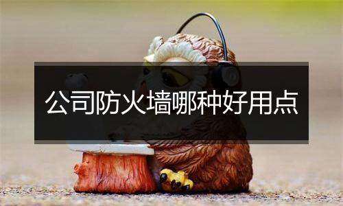 公司防火墙哪种好用点