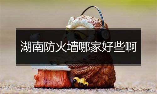 湖南防火墙哪家好些啊