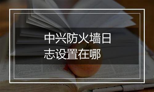 中兴防火墙日志设置在哪