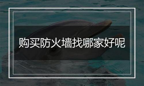 购买防火墙找哪家好呢