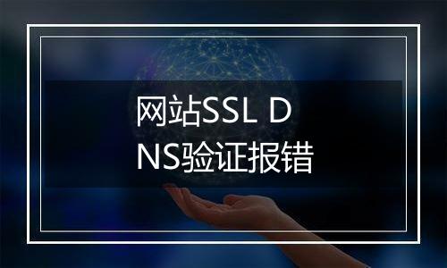 网站SSL DNS验证报错