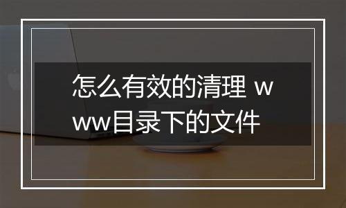 怎么有效的清理 www目录下的文件