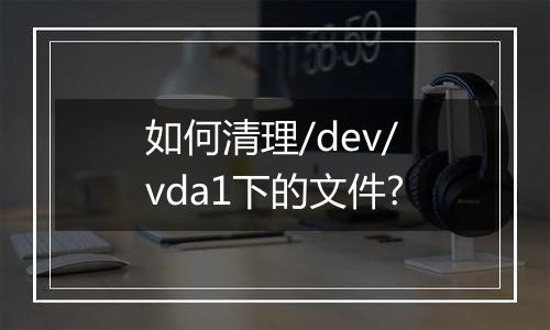 如何清理/dev/vda1下的文件?