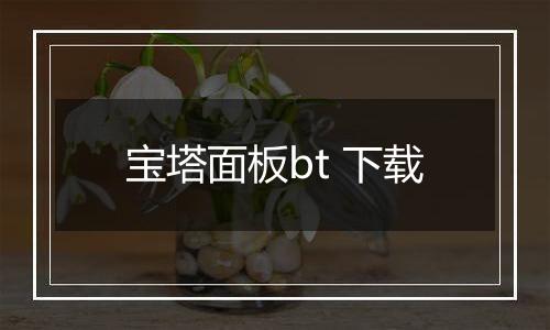 宝塔面板bt 下载