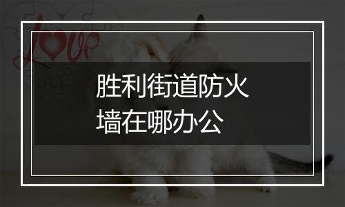 胜利街道防火墙在哪办公