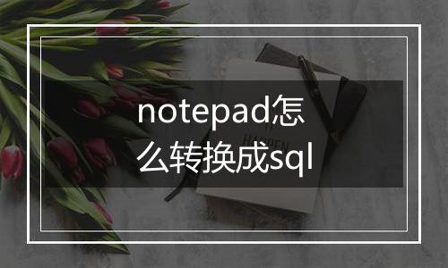 notepad怎么转换成sql