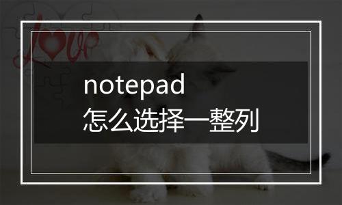notepad怎么选择一整列