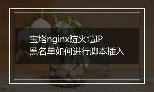 宝塔nginx防火墙IP黑名单如何进行脚本插入