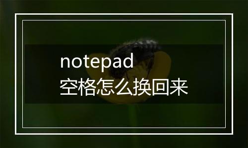 notepad空格怎么换回来
