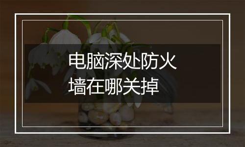 电脑深处防火墙在哪关掉
