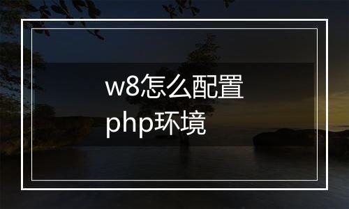 w8怎么配置php环境