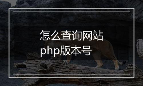 怎么查询网站php版本号