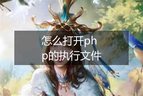 怎么打开php的执行文件