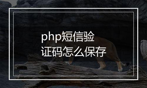 php短信验证码怎么保存