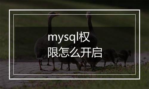 mysql权限怎么开启