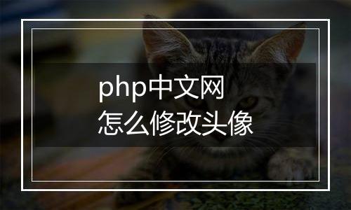php中文网怎么修改头像