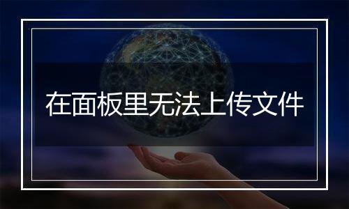 在面板里无法上传文件