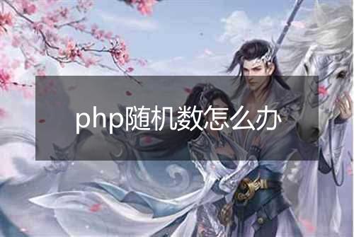 php随机数怎么办