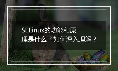 SELinux的功能和原理是什么？如何深入理解？