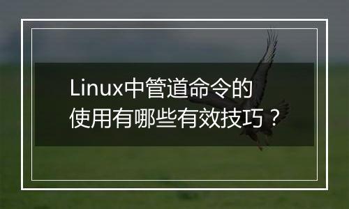 Linux中管道命令的使用有哪些有效技巧?