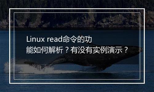 Linux read命令的功能如何解析?有没有实例演示?