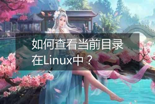 如何查看当前目录在Linux中?