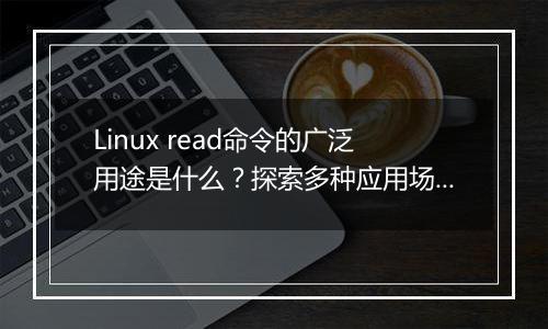 Linux read命令的广泛用途是什么?探索多种应用场景。