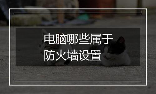电脑哪些属于防火墙设置