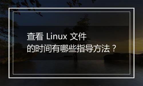 查看 Linux 文件的时间有哪些指导方法?