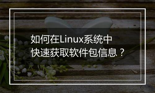 如何在Linux系统中快速获取软件包信息?